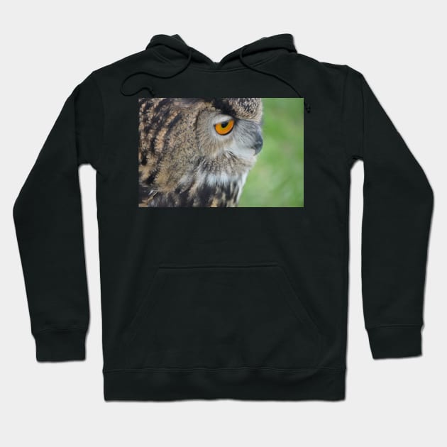 Eagle's Eye Hoodie by panther-star